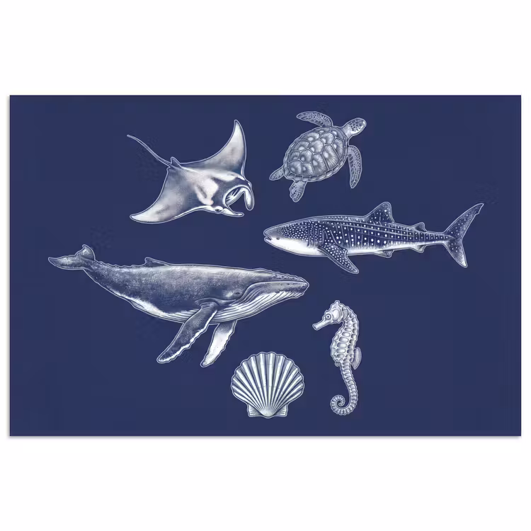 Poster - Dieren - Zeeleven - Oceaan - Graveren - Blauw — 1