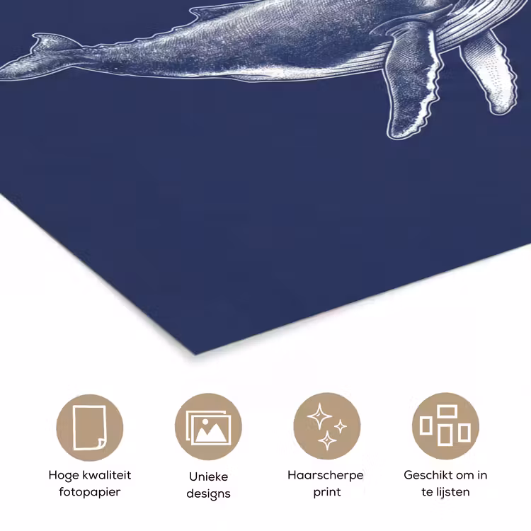 Poster - Dieren - Zeeleven - Oceaan - Graveren - Blauw — 5