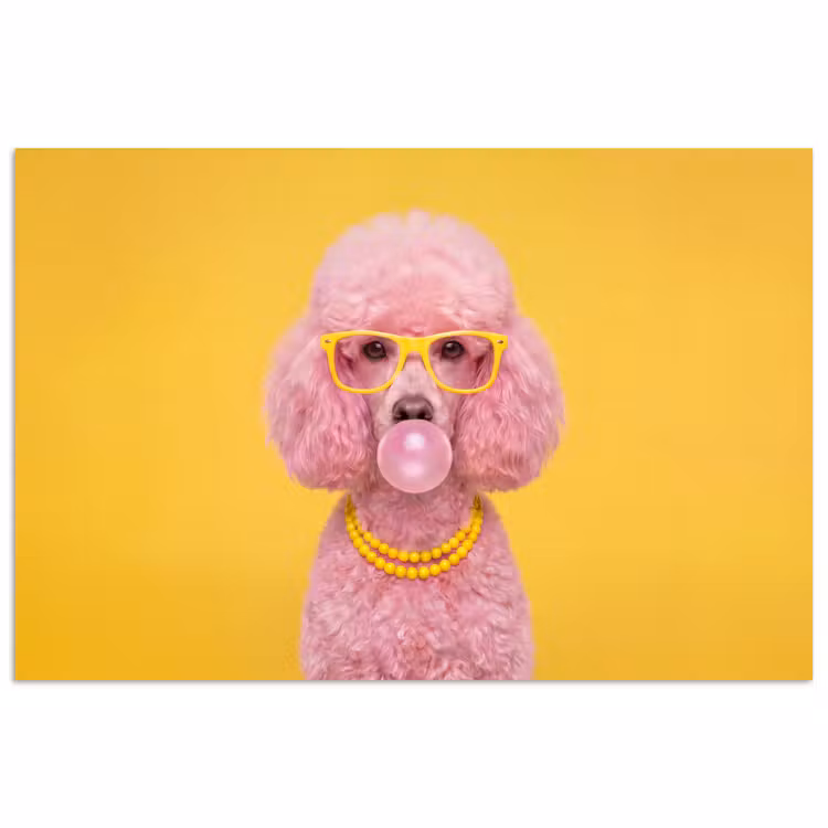 Poster - Hond - Kauwgum - Dieren - Modern - Roze — 1