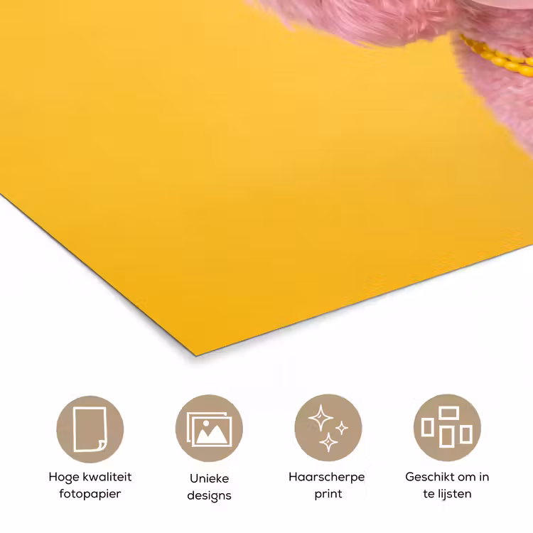Poster - Hond - Kauwgum - Dieren - Modern - Roze — 5