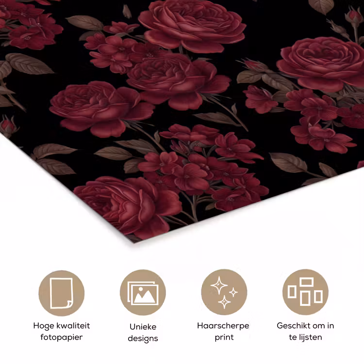 Poster - Bloemen - Roos - Patroon - Klassiek - Rood — 5
