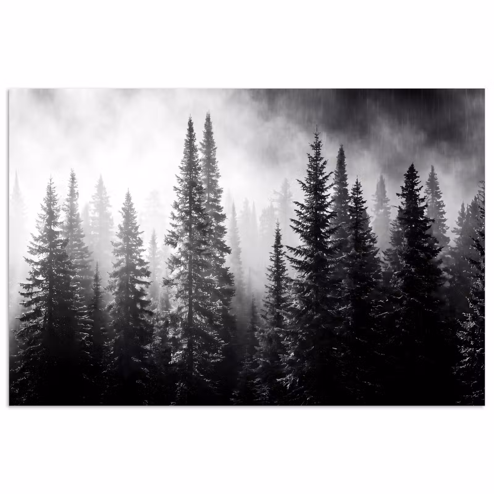 Poster - Bos - Mist - Winter - Monochroom - Natuur — 1