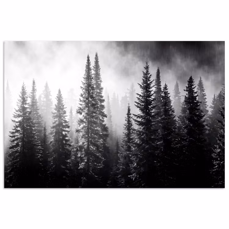 Poster - Bos - Mist - Winter - Monochroom - Natuur — 1