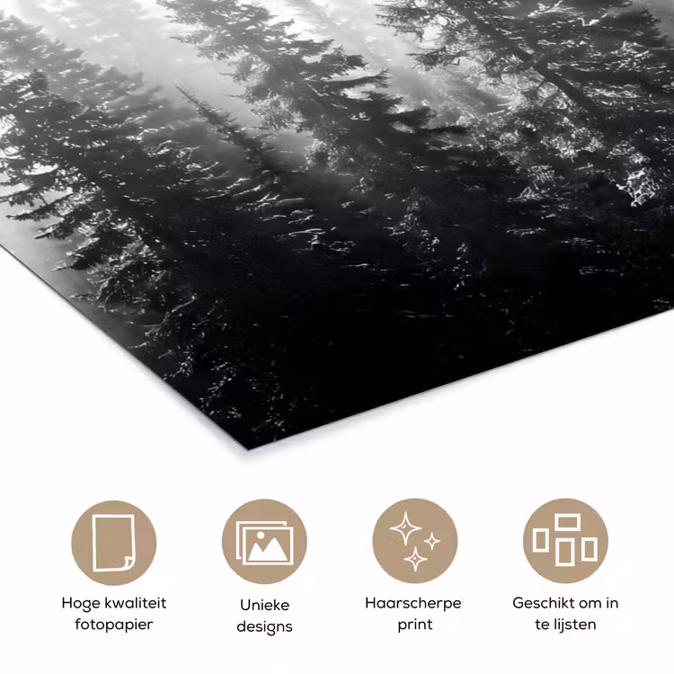 Poster - Bos - Mist - Winter - Monochroom - Natuur — 5