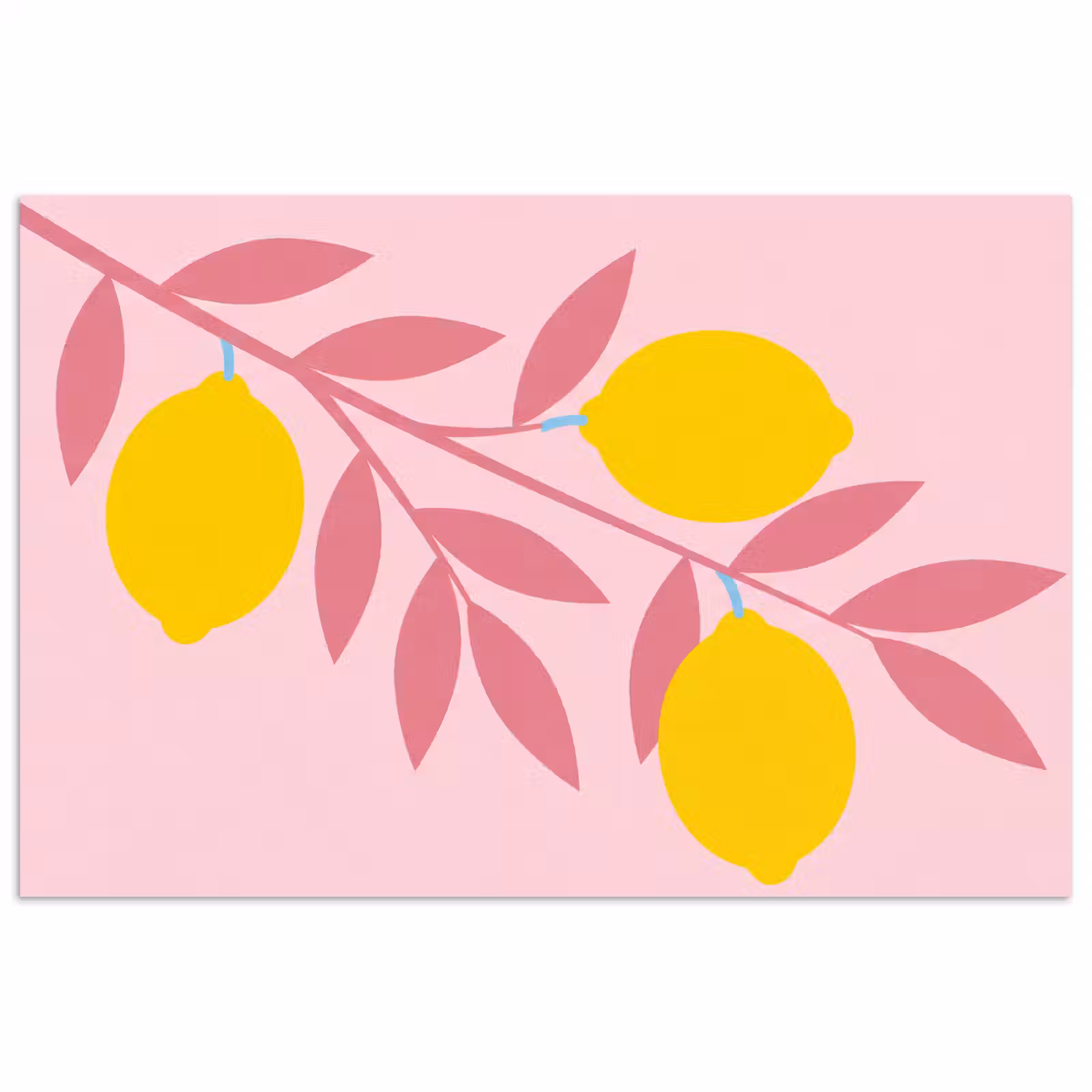 Poster - Fruit - Tak - Natuur - Abstract - Roze — 1