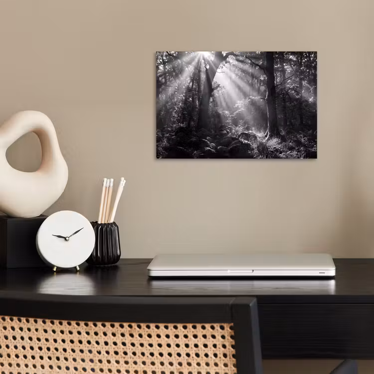 Poster - Bos - Lichtstralen - Natuur - Zwart-wit — 2