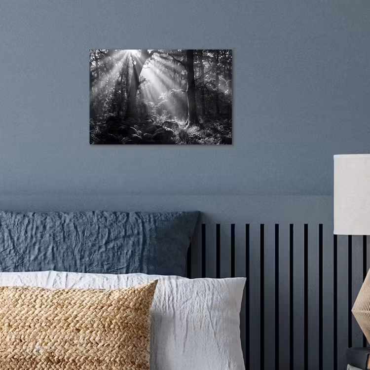 Poster - Bos - Lichtstralen - Natuur - Zwart-wit — 3