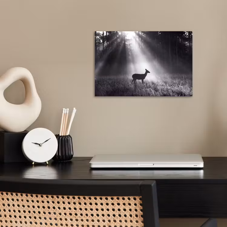 Poster - Hert - Bos - Zonnestralen - Zwart-wit - Natuur — 2
