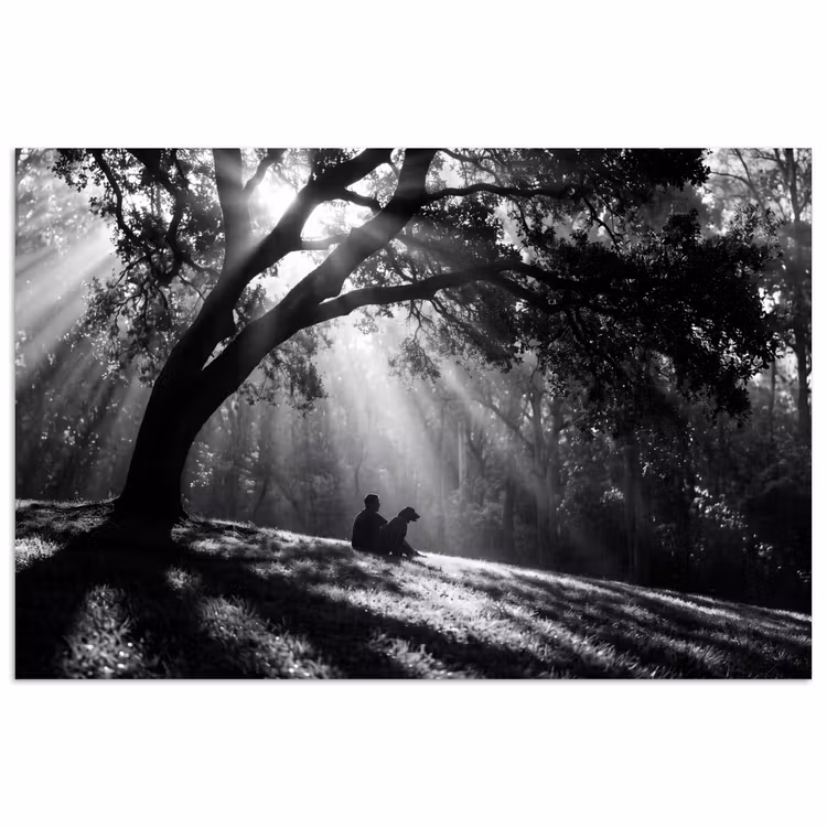 Poster - Mens - Hond - Natuur - Zwart-wit - Silhouet — 1