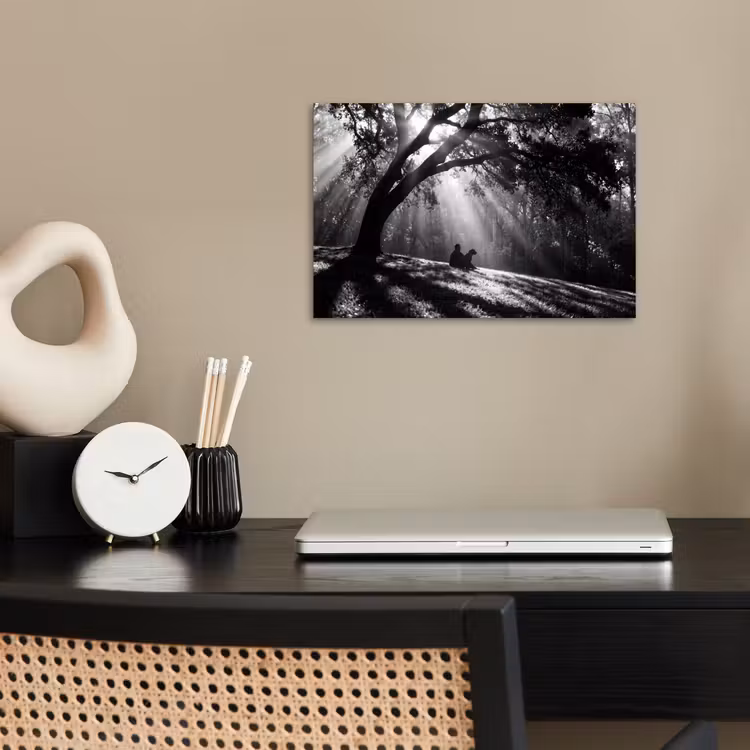 Poster - Mens - Hond - Natuur - Zwart-wit - Silhouet — 2