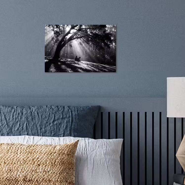 Poster - Mens - Hond - Natuur - Zwart-wit - Silhouet — 3