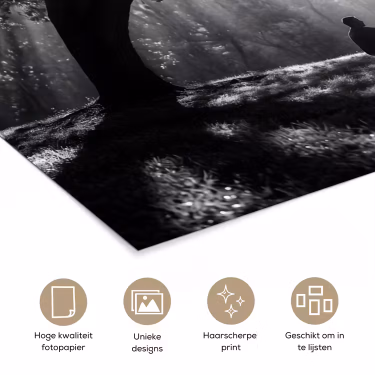 Poster - Mens - Hond - Natuur - Zwart-wit - Silhouet — 5