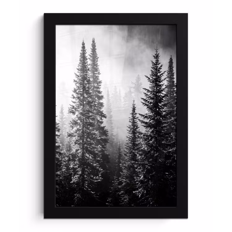 Poster met lijst - Bos - Mist - Winter - Monochroom - Natuur — 1