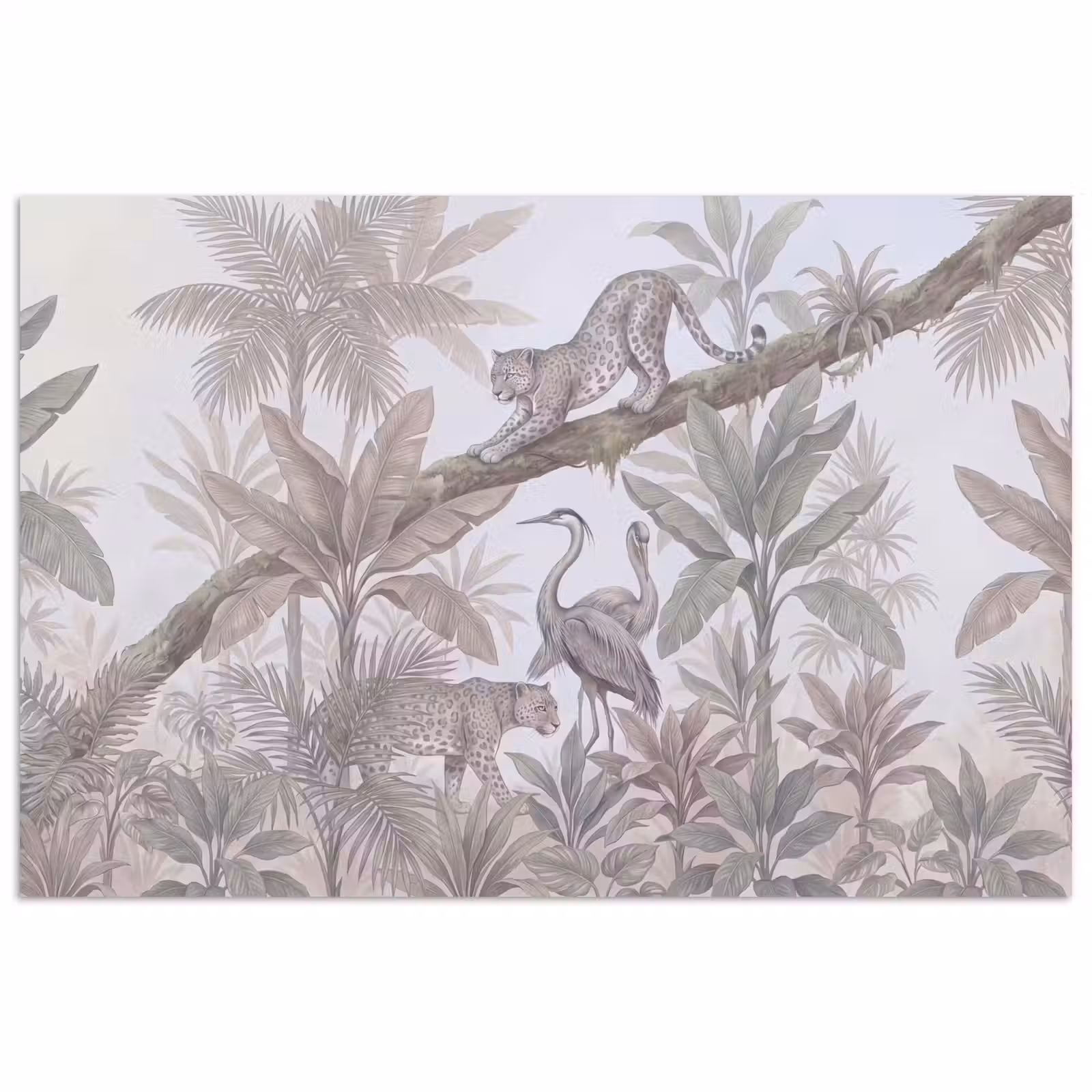 Poster - Kat - Vogel - Jungle - Illustratie - Dieren — 1