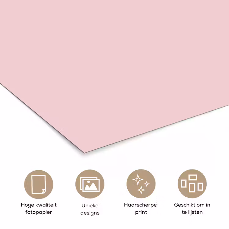 Poster - Blush - Pink - Roze — 5