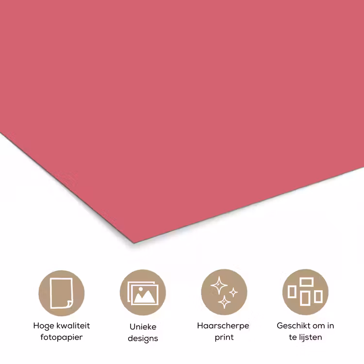 Poster - Crimson - Rose - Roze — 5