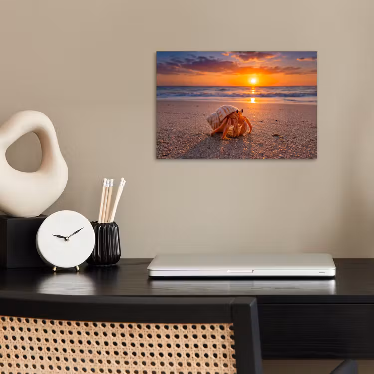 Poster - Kreeft - Strand - Natuur - Zonsondergang - Oranje — 2