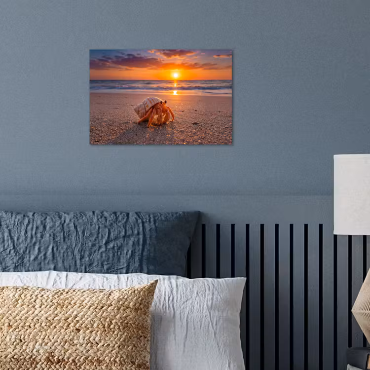 Poster - Kreeft - Strand - Natuur - Zonsondergang - Oranje — 3