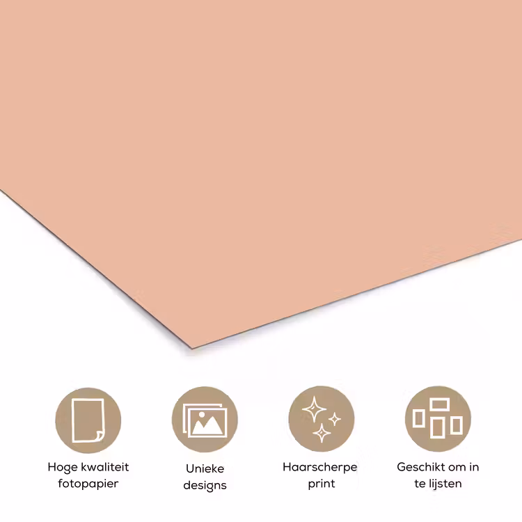 Poster - Blush - Terracotta - Nude — 5