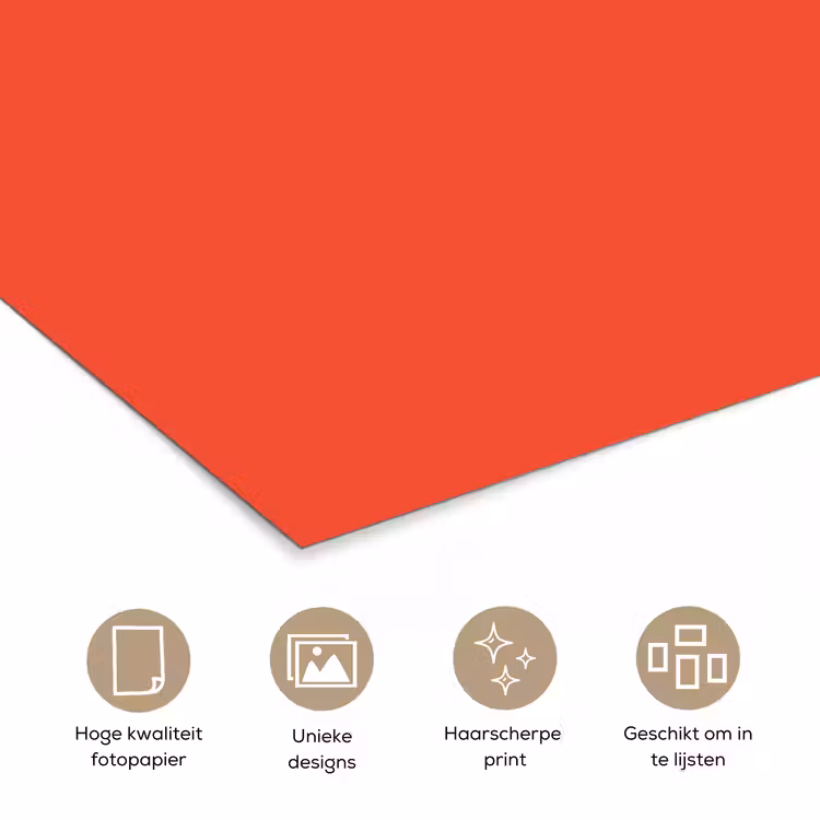 Poster - Burnt - Coral - Oranje — 5