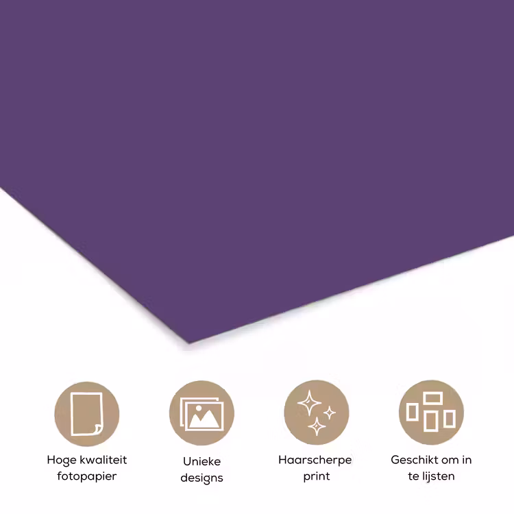 Poster - Deep - Plum - Paars — 5