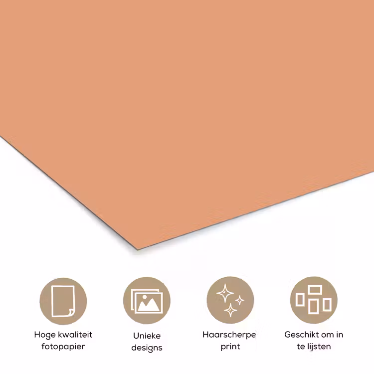 Poster - Desert - Coral - Koraal — 5