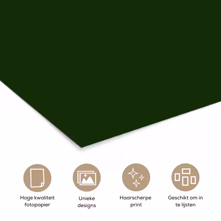 Poster - Forest - Green - Groen — 5