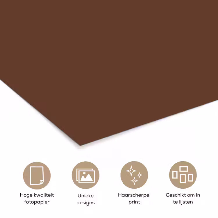 Poster - Deep - Clay - Brown - Bruin — 5
