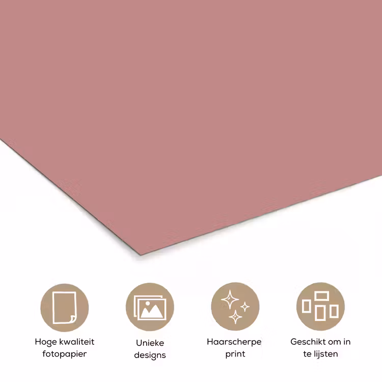 Poster - Dusty - Rose - Roze — 5