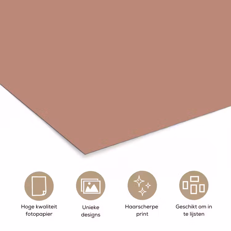 Poster - Earthy - Blusher - Roze — 5