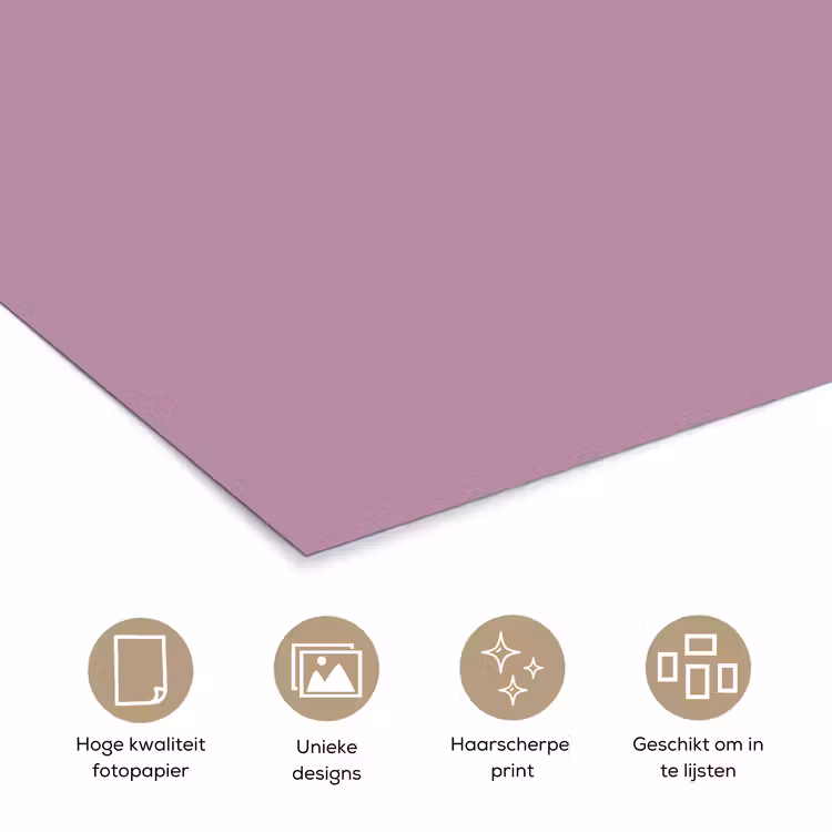 Poster - Lilac - Paars - Mauve — 5