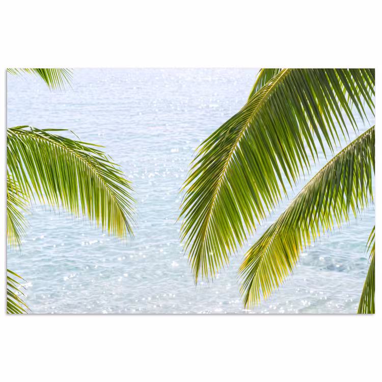 Poster - Boom - Bladeren - Water - Tropisch - Groen — 1
