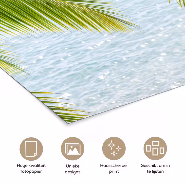 Poster - Boom - Bladeren - Water - Tropisch - Groen — 5