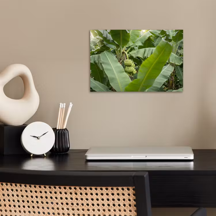 Poster - Eten - Bananen - Plantage - Groen — 2