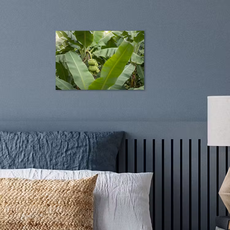 Poster - Eten - Bananen - Plantage - Groen — 3
