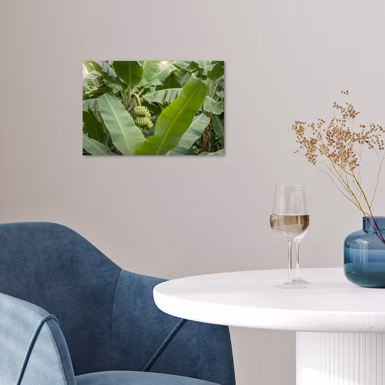 Poster - Eten - Bananen - Plantage - Groen — 4