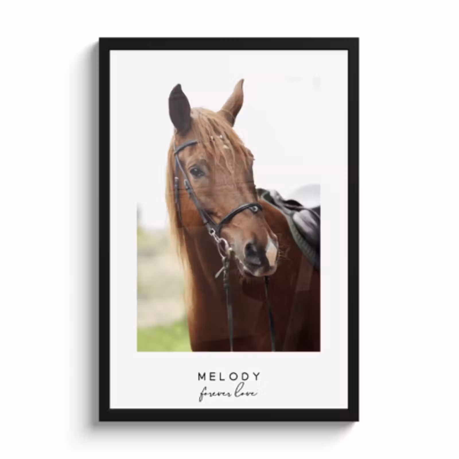 Poster met lijst paarden — 1