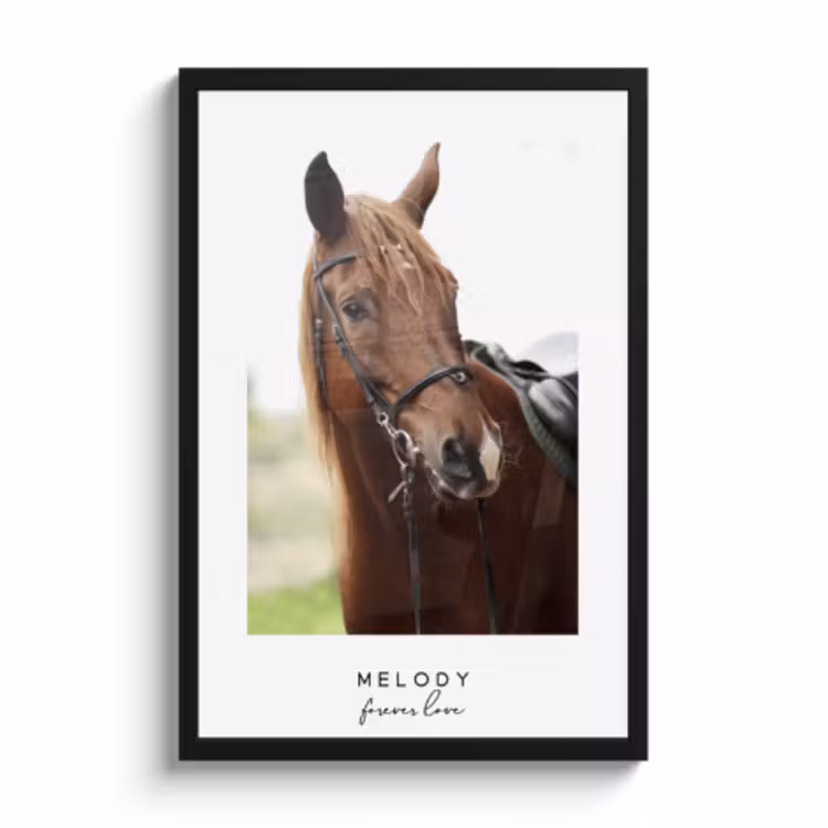 Poster met lijst paarden — 1