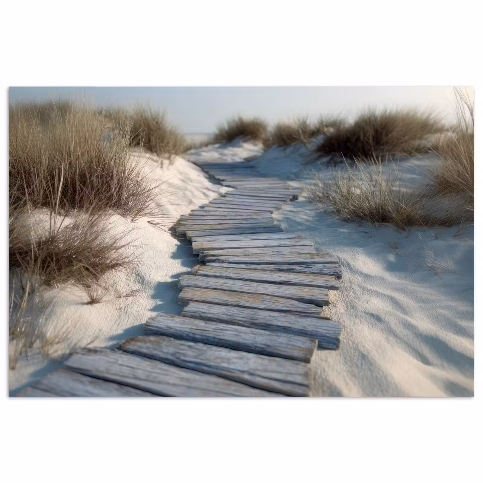 Poster - Pad - Planken - Duinen - Gras — 1