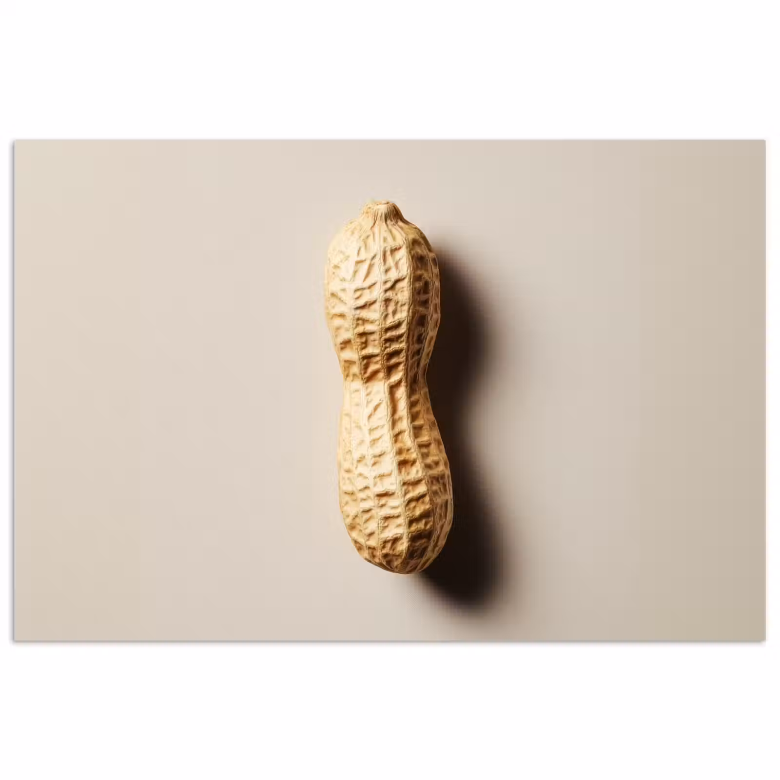 Poster - Pinda - Ruw - Beige — 1