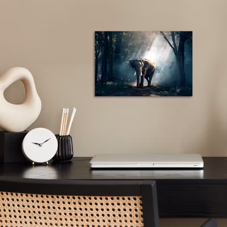 Poster - Olifant - Dieren - Licht - Bos - Natuur - Wilde dieren — 2