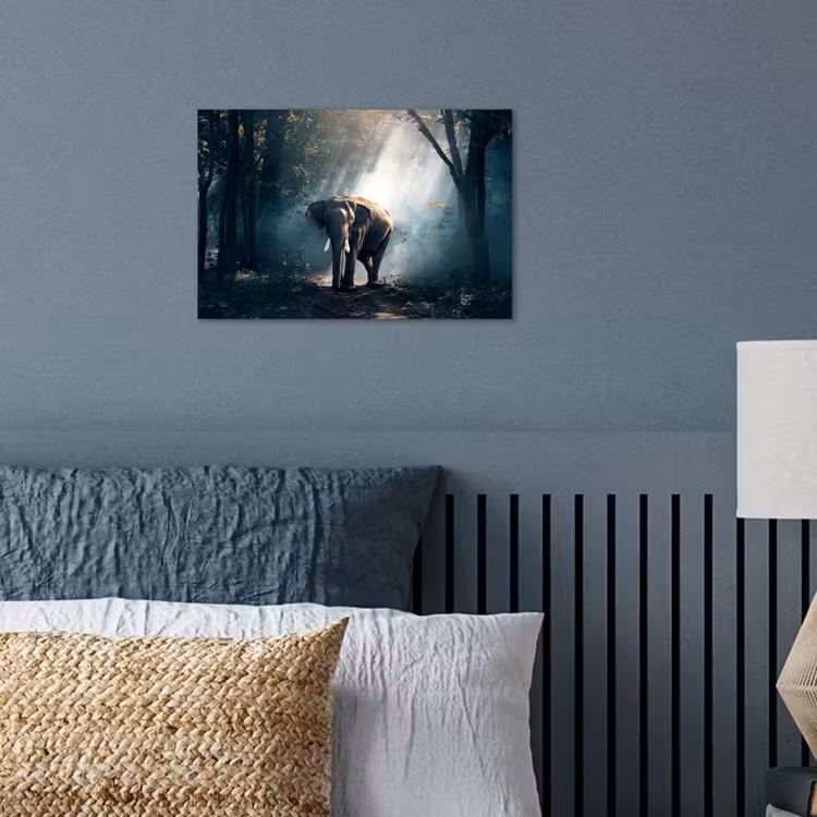 Poster - Olifant - Dieren - Licht - Bos - Natuur - Wilde dieren — 3