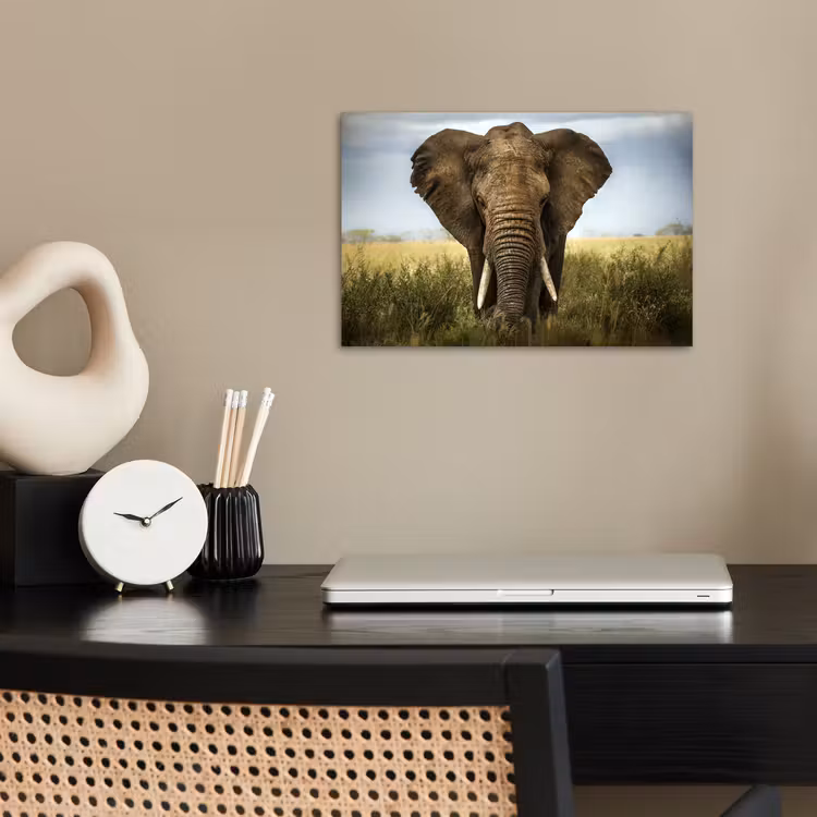 Poster - Olifant - Natuur - Gras - Dieren - Landschap — 2