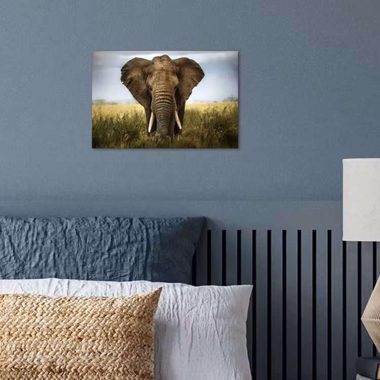 Poster - Olifant - Natuur - Gras - Dieren - Landschap — 3