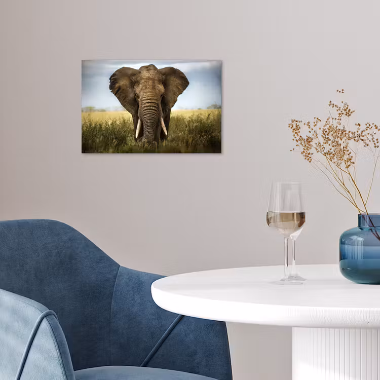 Poster - Olifant - Natuur - Gras - Dieren - Landschap — 4