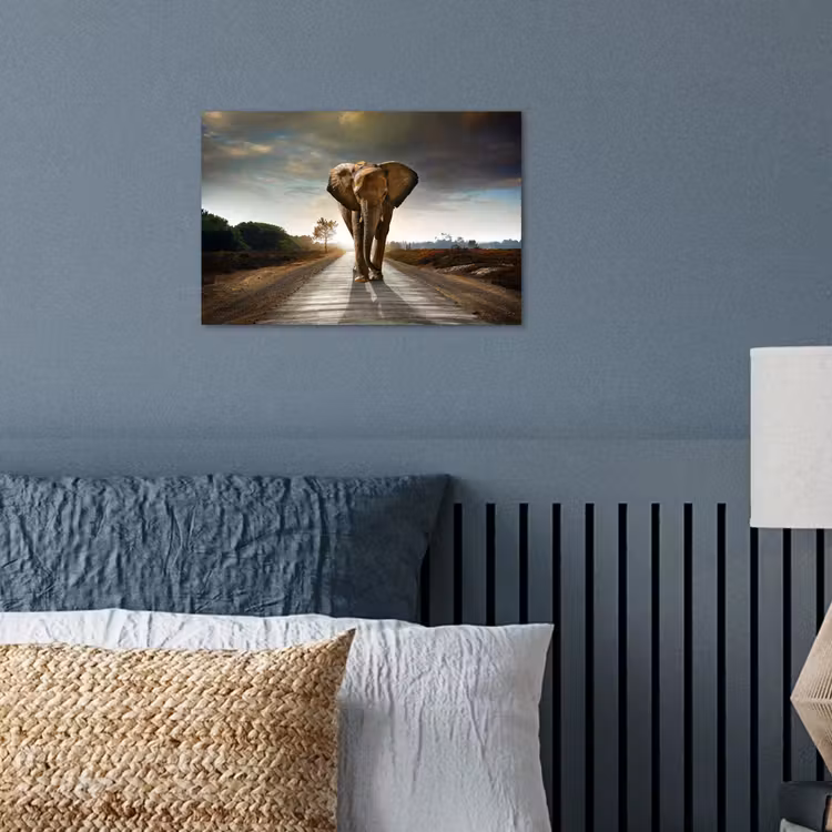 Poster - Olifant - Weg - Dieren - Zonsondergang - Landschap — 3