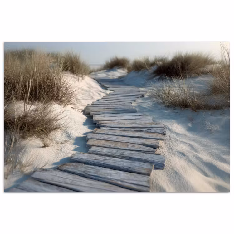 Poster - Pad - Planken - Duinen - Gras — 1