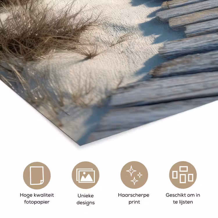 Poster - Pad - Planken - Duinen - Gras — 5