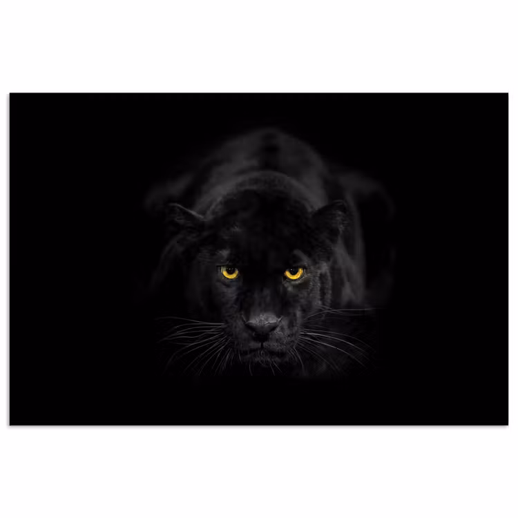 Poster - Panter - Dieren - Zwart - Ogen — 1
