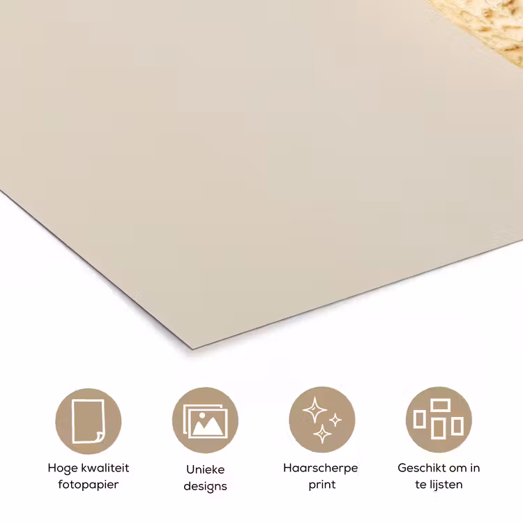 Poster - Pinda - Ruw - Beige — 5